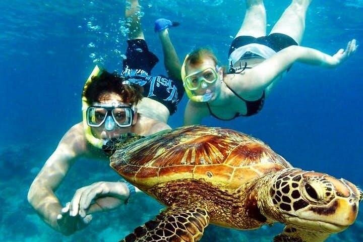 Best Snorkeling Spots in Aruba